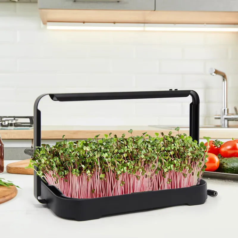 Smart Garden Kit - Hydroponisches Anzuchtsystem für den Innenbereich, Microgreen-Saatgut,