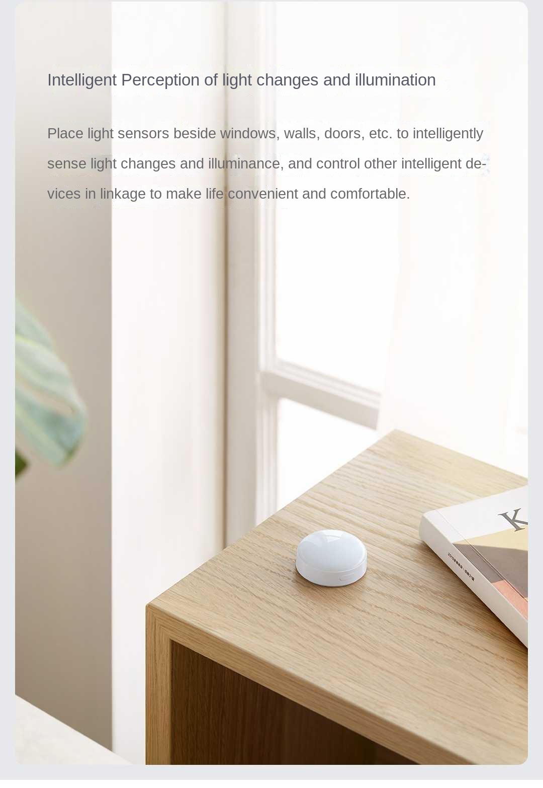 Aqara Lichtsensor T1 Zigbee 3. – Smart Garden Xiaomi Bewertung und Preis