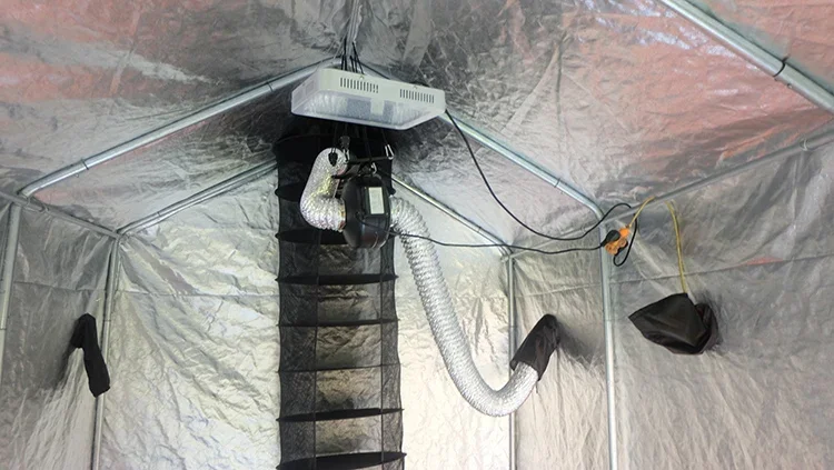 Chinesische Fabrik: Komplettes – Grow Tent Complete Kit Bewertung und Preis