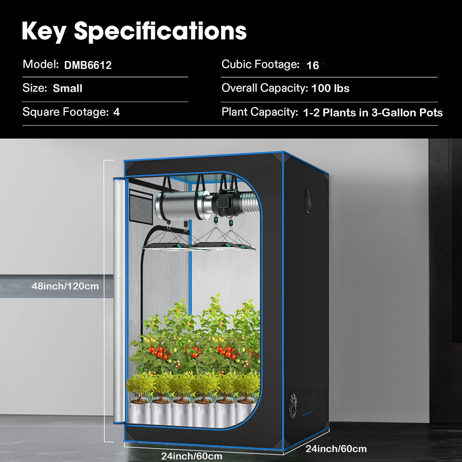 C3 Gewächshaus Indoor Grow Ten – Grow Tent Complete Kit Bewertung und Preis