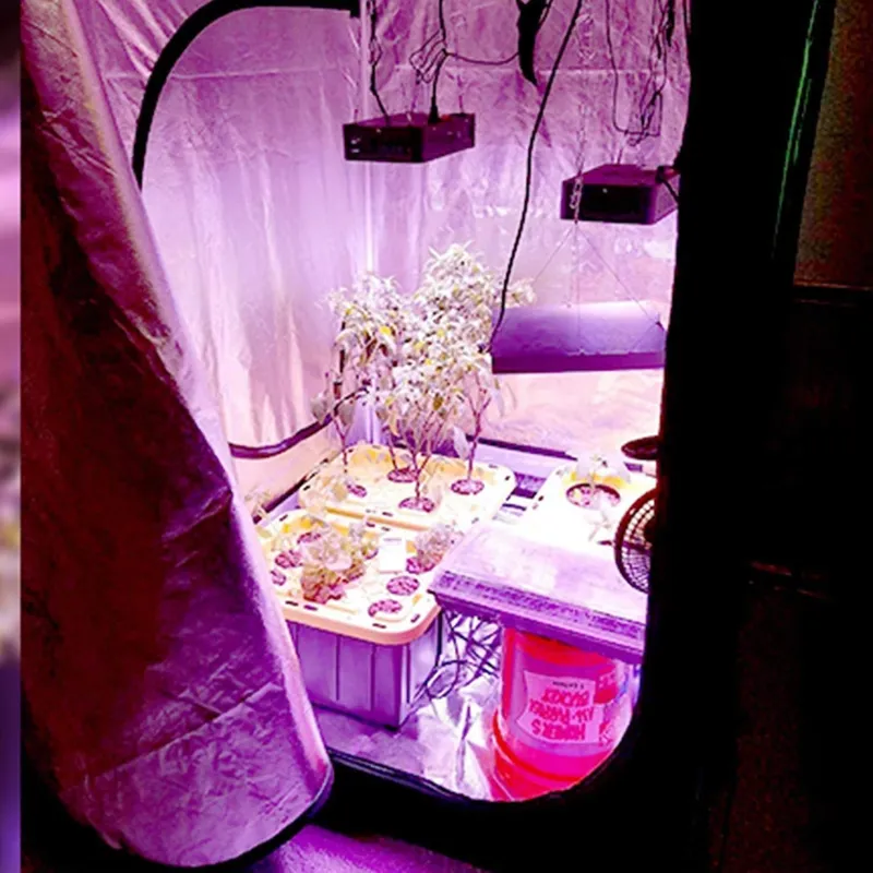 ROHE 100x100x200cm Hydroponisc – Grow Tent Complete Kit Bewertung und Preis
