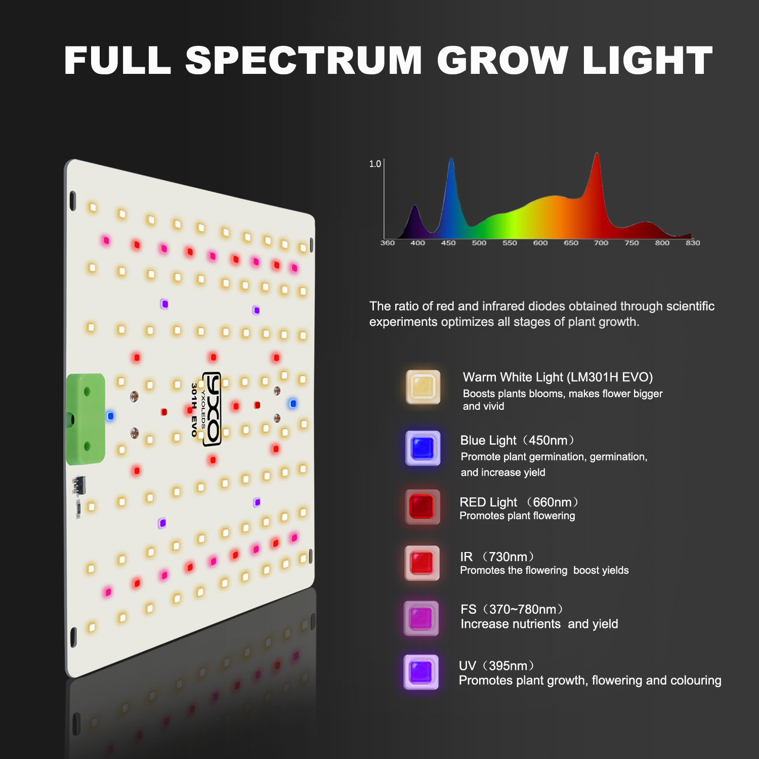 85W 180W LM301H EVO Quantum LE – Grow Tent Complete Kit Bewertung und Preis