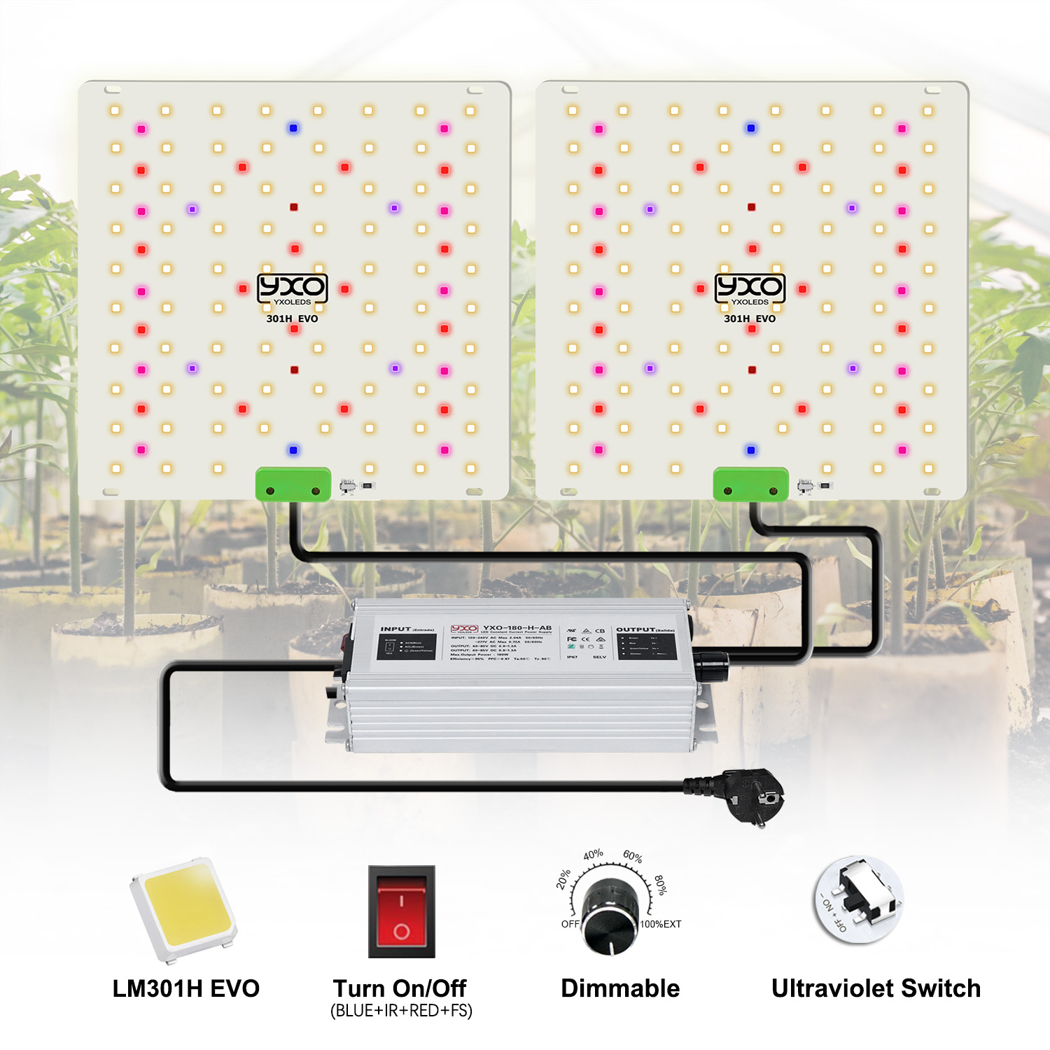 85W 180W LM301H EVO Quantum LE – Grow Tent Complete Kit Bewertung und Preis