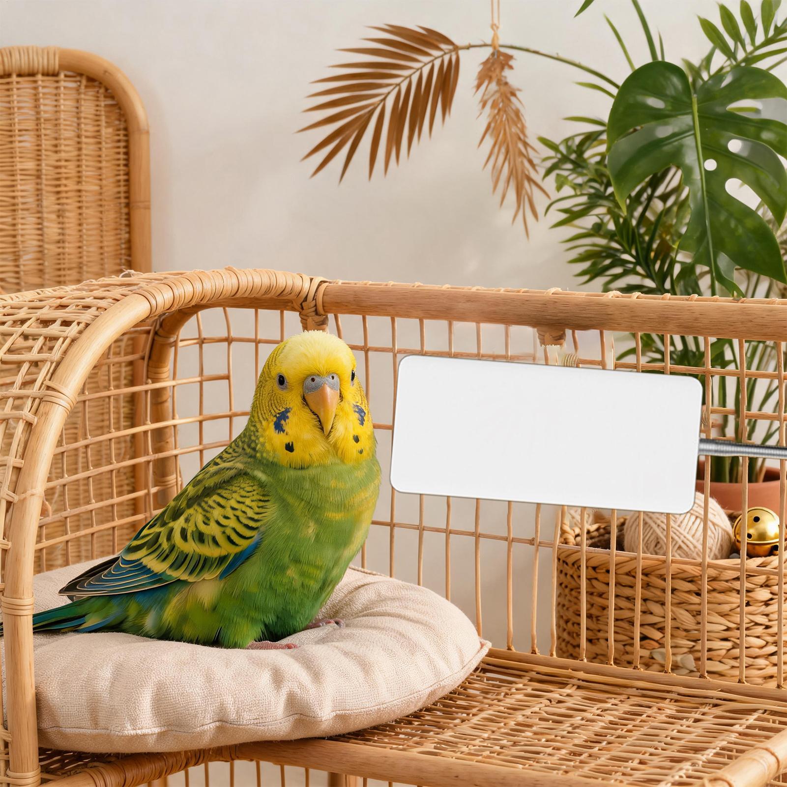 Vogelheizung 5V – Sicheres Win – Smart Garden Bird Bath Bewertung und Preis