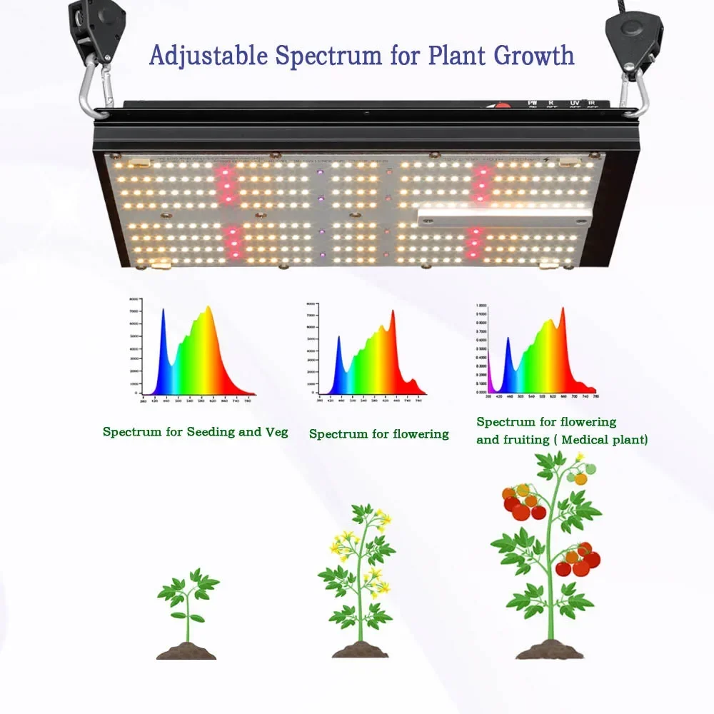 BAVAGREEN Hydrokultursystem, k – Grow Tent Complete Kit Bewertung und Preis