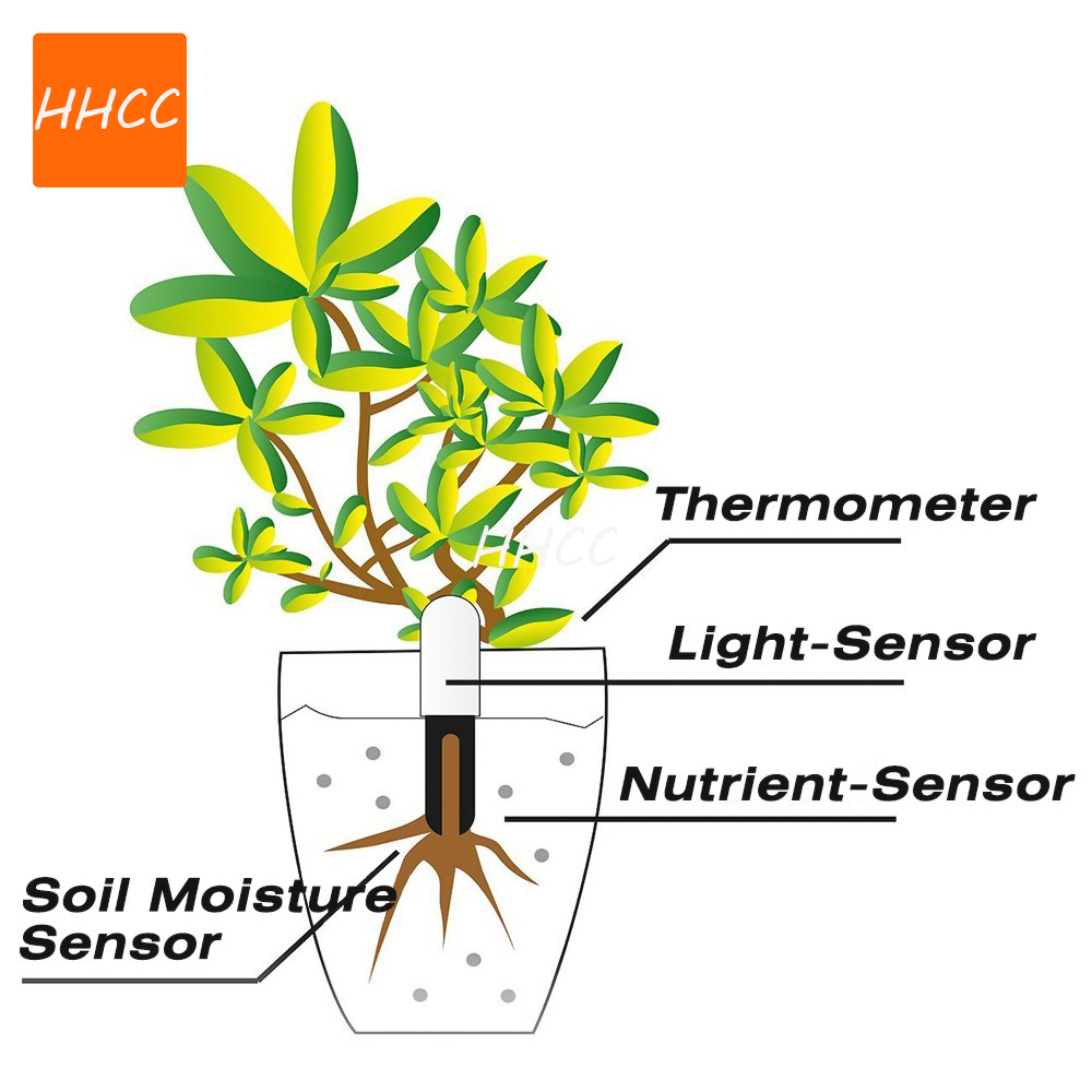 HHCC Blume Pflege Max Smart An – Smart Garden Xiaomi Bewertung und Preis