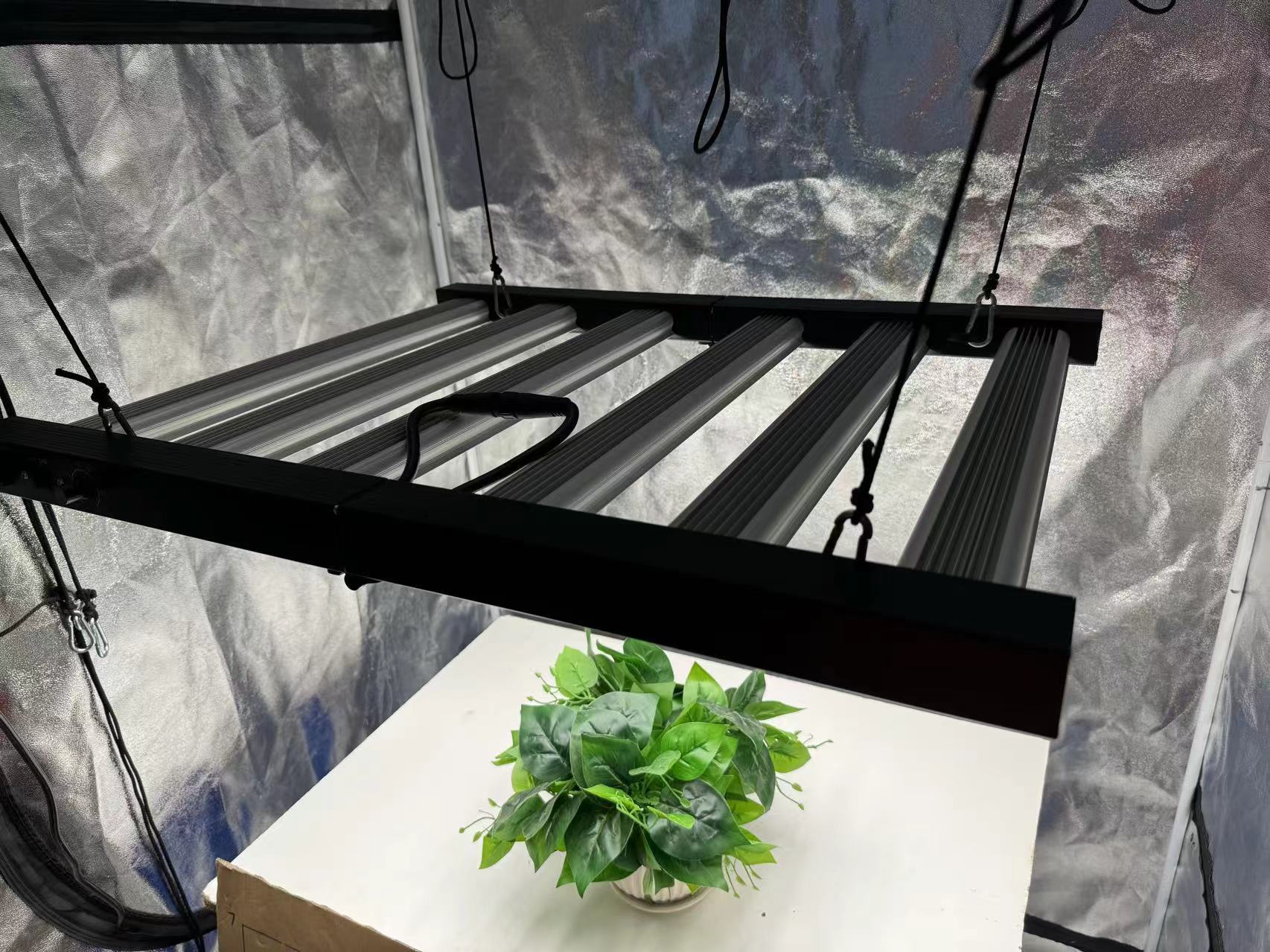 4x4 Grow Tent Komplettset, Ind – Grow Tent Complete Kit Bewertung und Preis