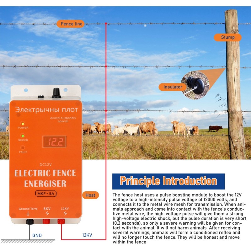 ABSJ-EU-Stecker 12V Intelligen – Smart Garden Smart Fence Bewertung und Preis
