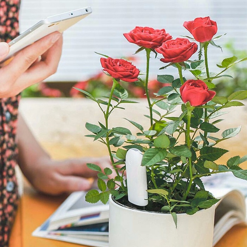 HHCC Blume Pflege Smart Anlage – Smart Garden Xiaomi Bewertung und Preis