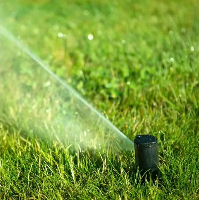 i DaringFish Smart Garden Gree – Smart Garden Accessories Bewertung und Preis