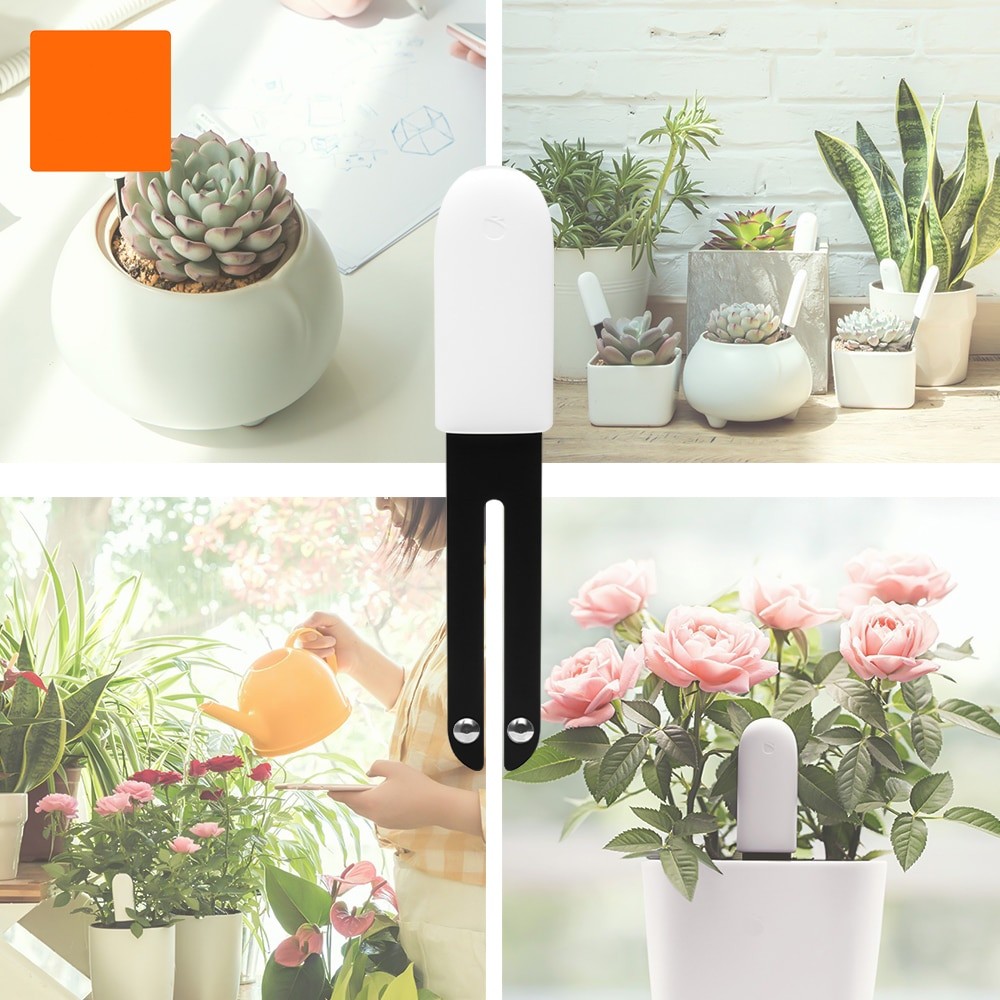 HHCC Smart Flower Flora Monito – Smart Garden Xiaomi Bewertung und Preis