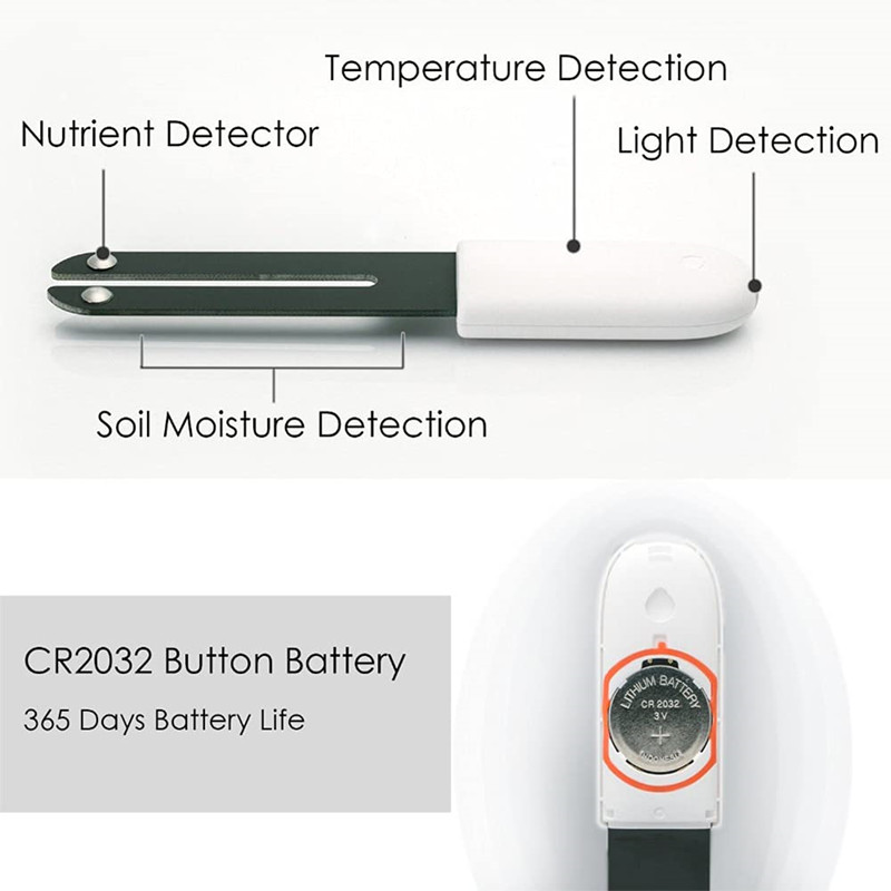 HHCC Blumenmonitor Flora Garte – Smart Garden Xiaomi Bewertung und Preis