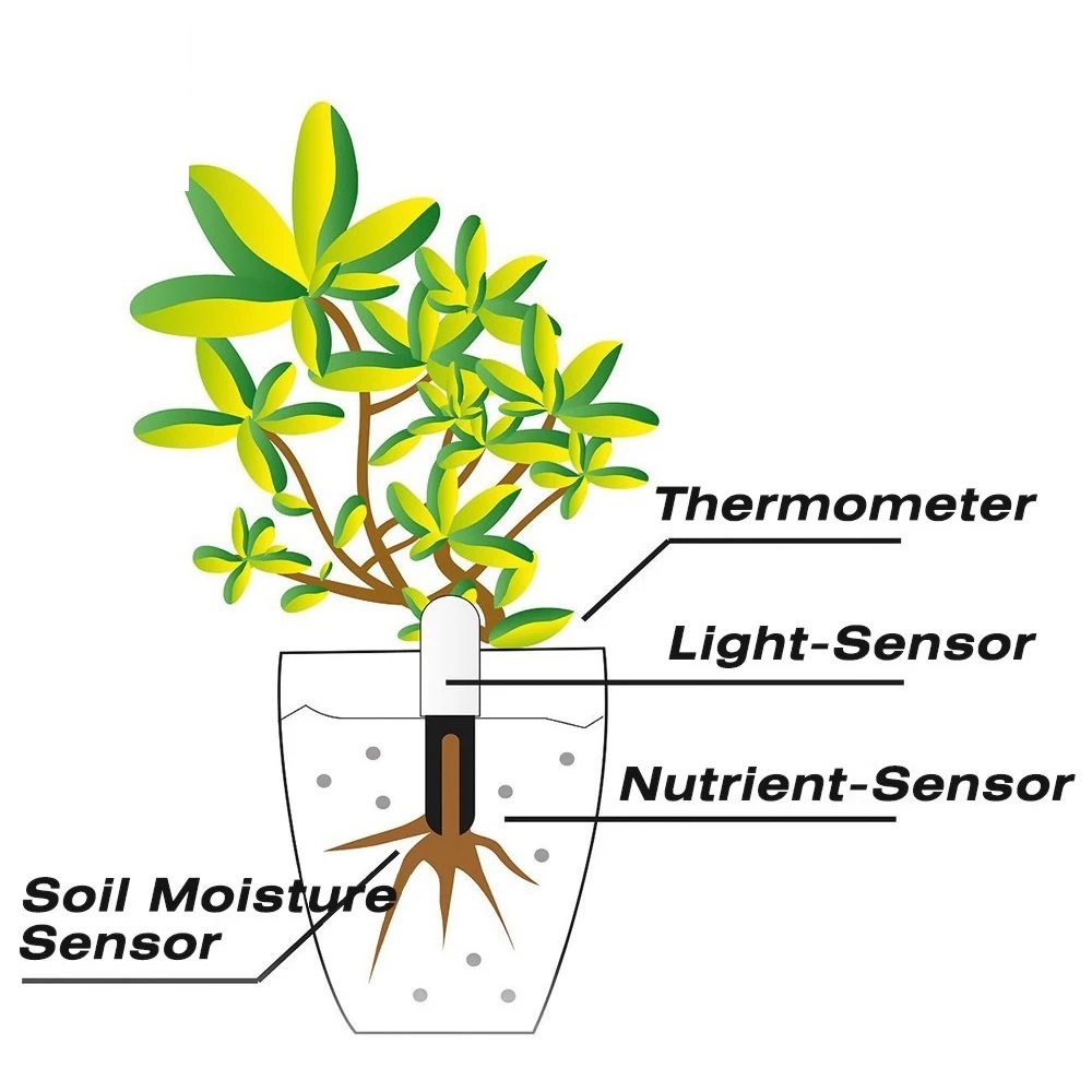HHCC Blumenmonitor Flora Garte – Smart Garden Xiaomi Bewertung und Preis