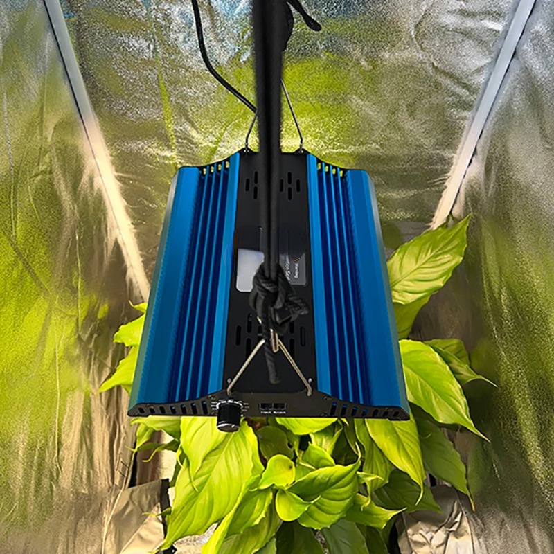 60*60*160cm Pflanzzelt + Board – Grow Tent Complete Kit Bewertung und Preis